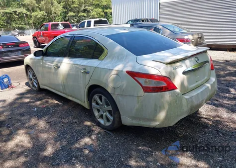 2011 Nissan Maxima 3.5 Sv z USA, uszkodzony, nr VIN 1N4AA5AP0BC808317